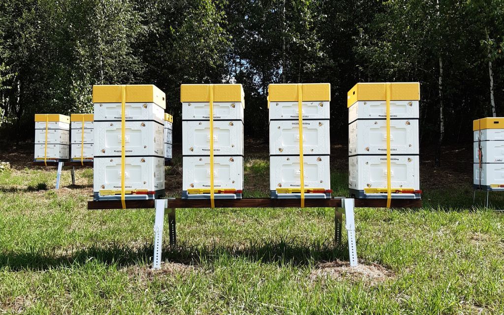 Białe ule pasiei edukacyjnej