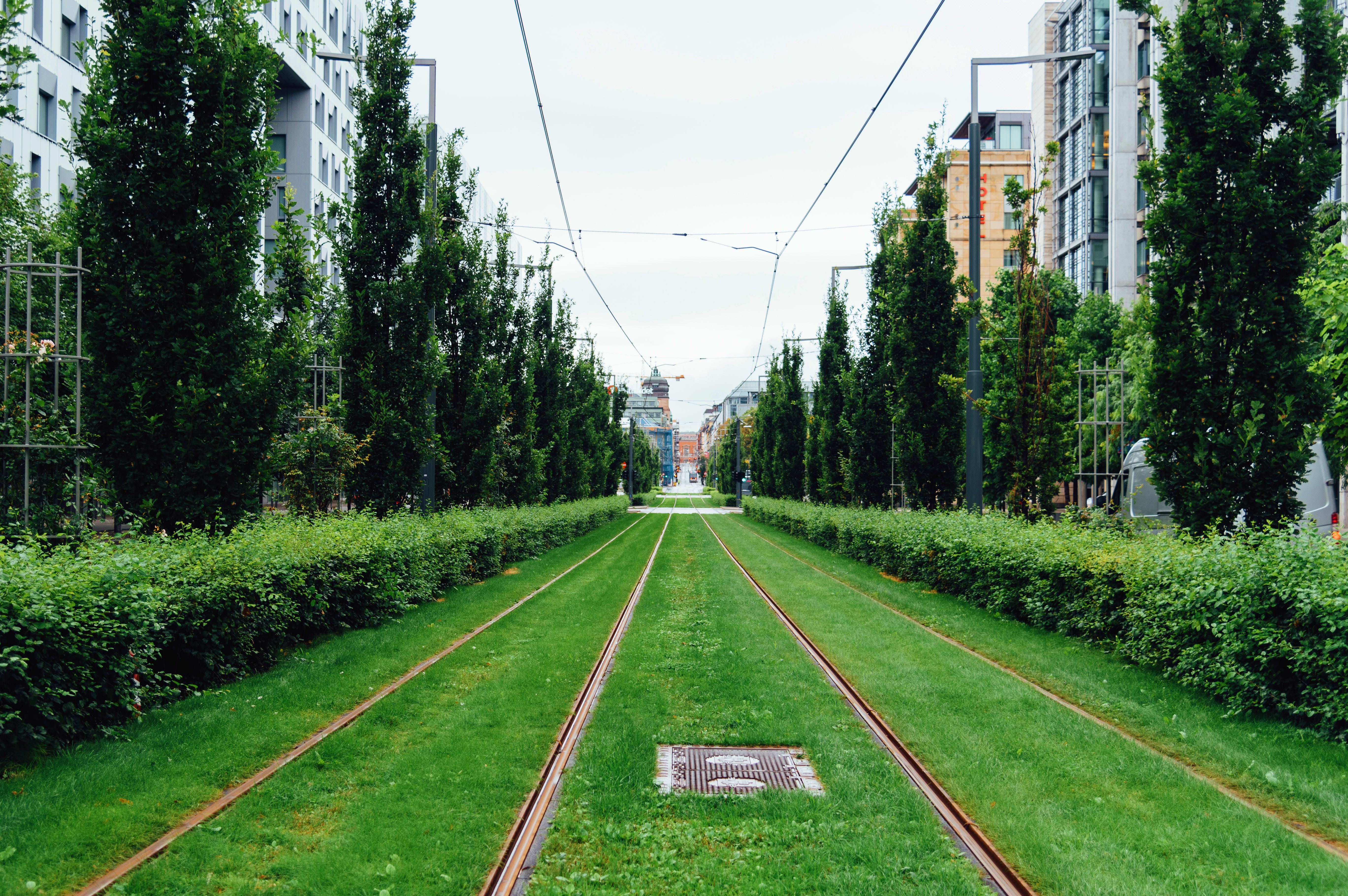 Najbardziej zielone miasto świata