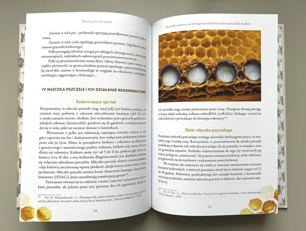 sekrety pszczelej apteki