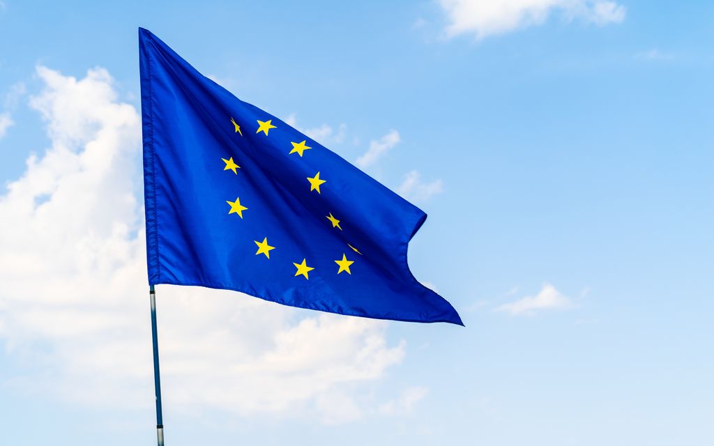 Parlament Europejski odrzuca projekt, który niedostatecznie chroni pszczoły