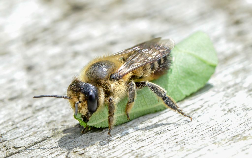 34763030403 6223c58306 o