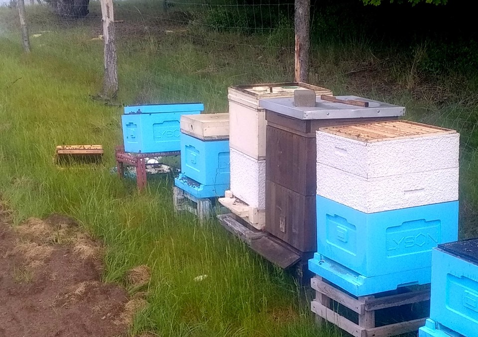 60522358 2245371918865943 7952500748795772928 n