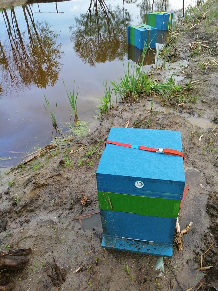 60669341 625161001293242 7438285621778448384 n