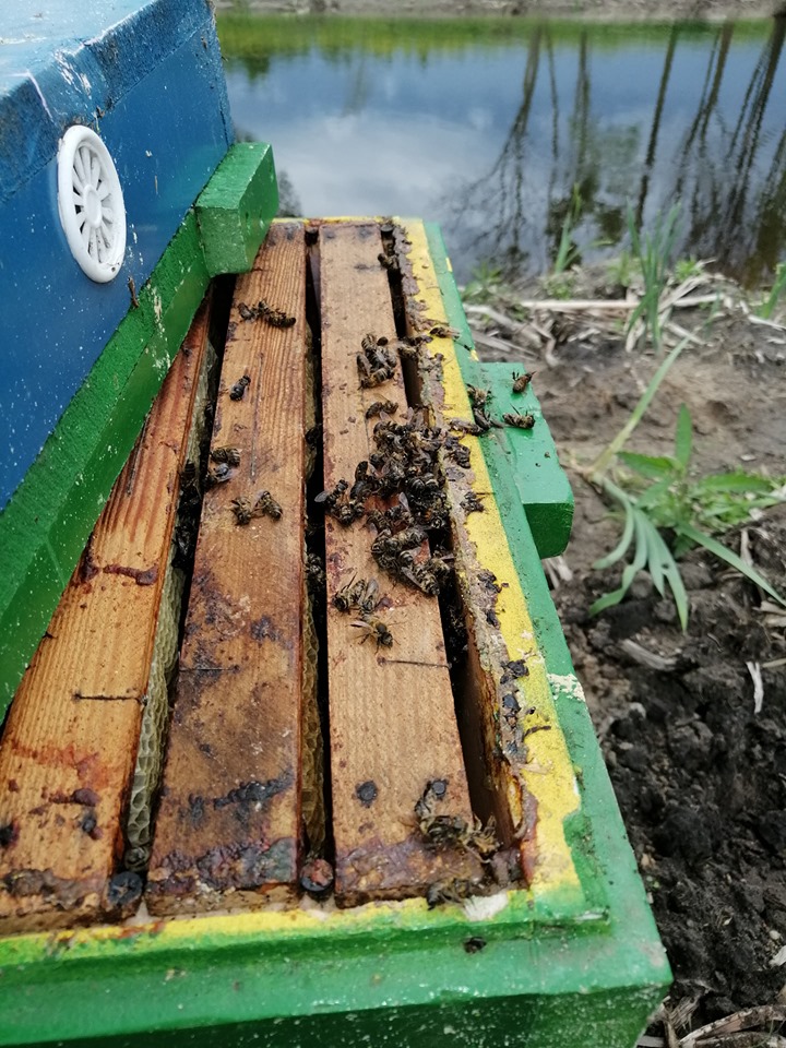 60801040 625160924626583 5269566036264353792 n