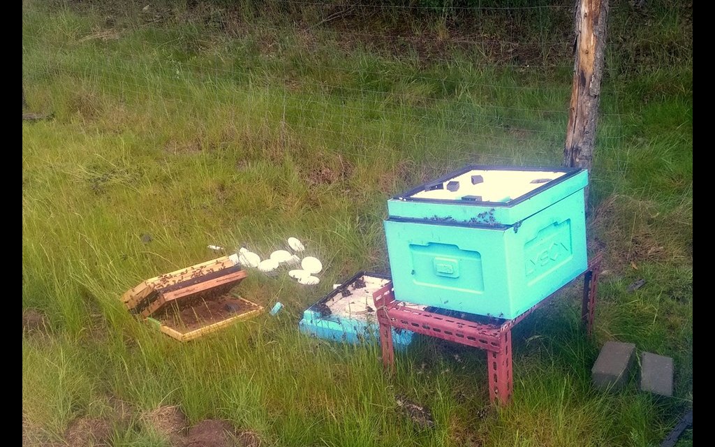 60847603 2245372055532596 822194514415321088 n