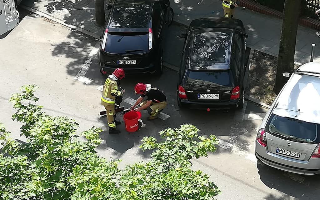 61331339 10219925219140227 6992621883657027584 o