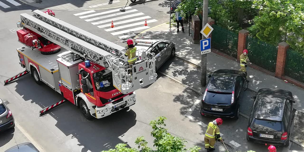 61640387 10219925219460235 3445686312634417152 o