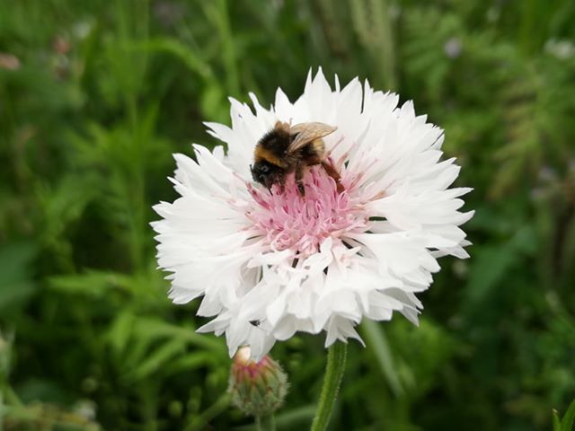 64709632 504403290099182 6511776569470484480 n