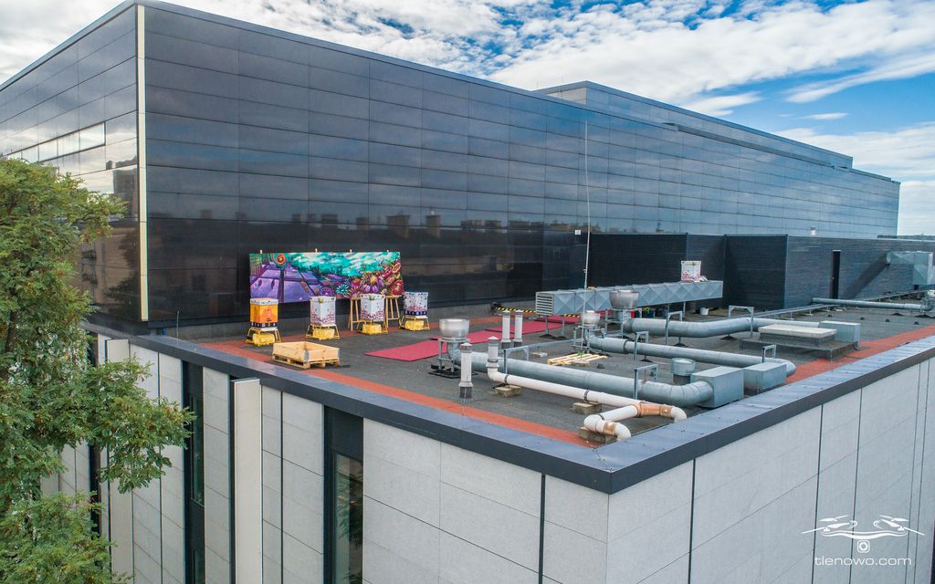 Kulturalne pszczoły na dachu filharmonii