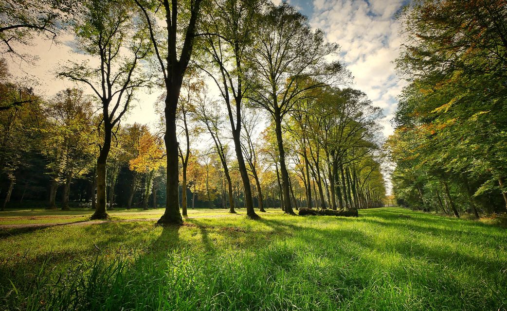 landscape 3076834 1920