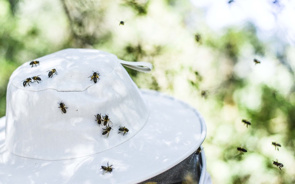 outdoors 3196708 1920