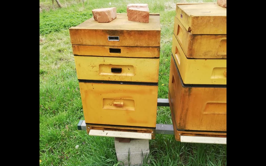 zlodziej zdjecie glowne