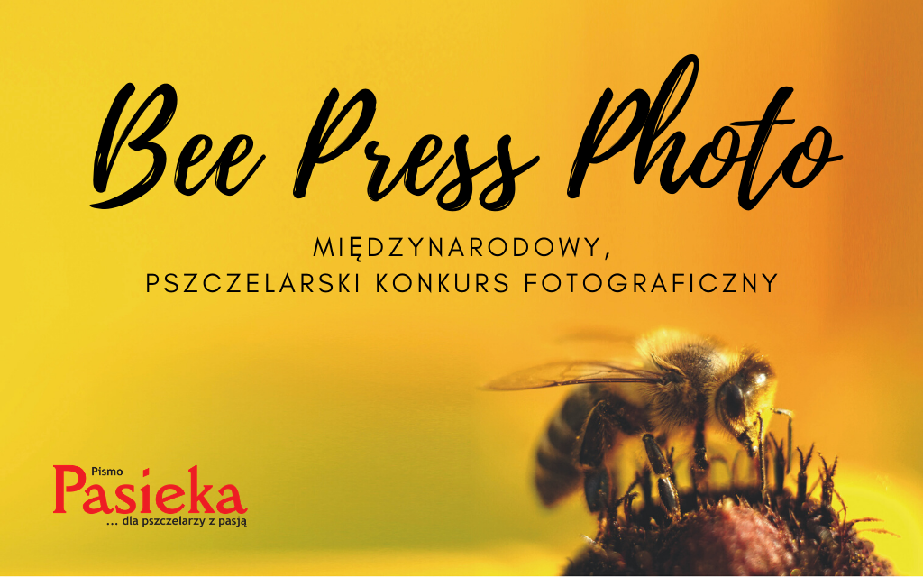 Bee Press Photo - międzynarodowy, pszczelarski konkurs fotograficzny