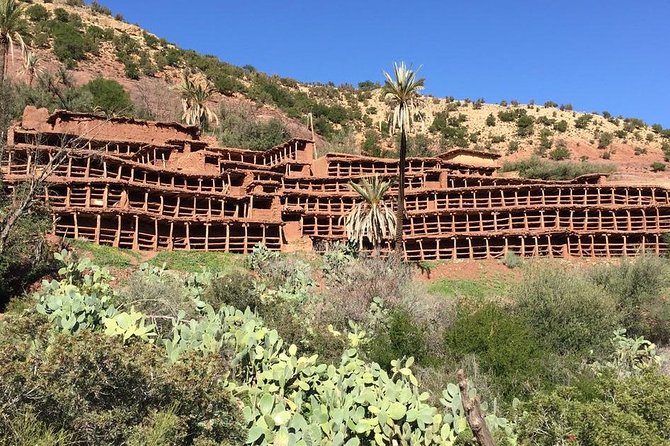 Pasieka inzerki maroko