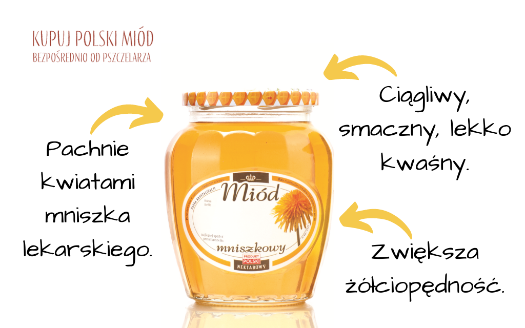 mniszek