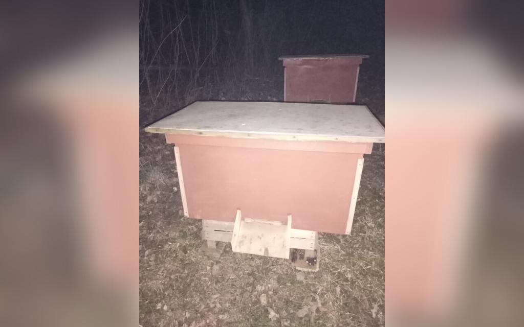 ul mazurska pszczola 1