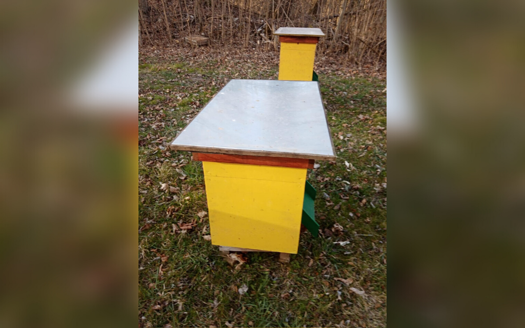 ul mazurska pszczola 2