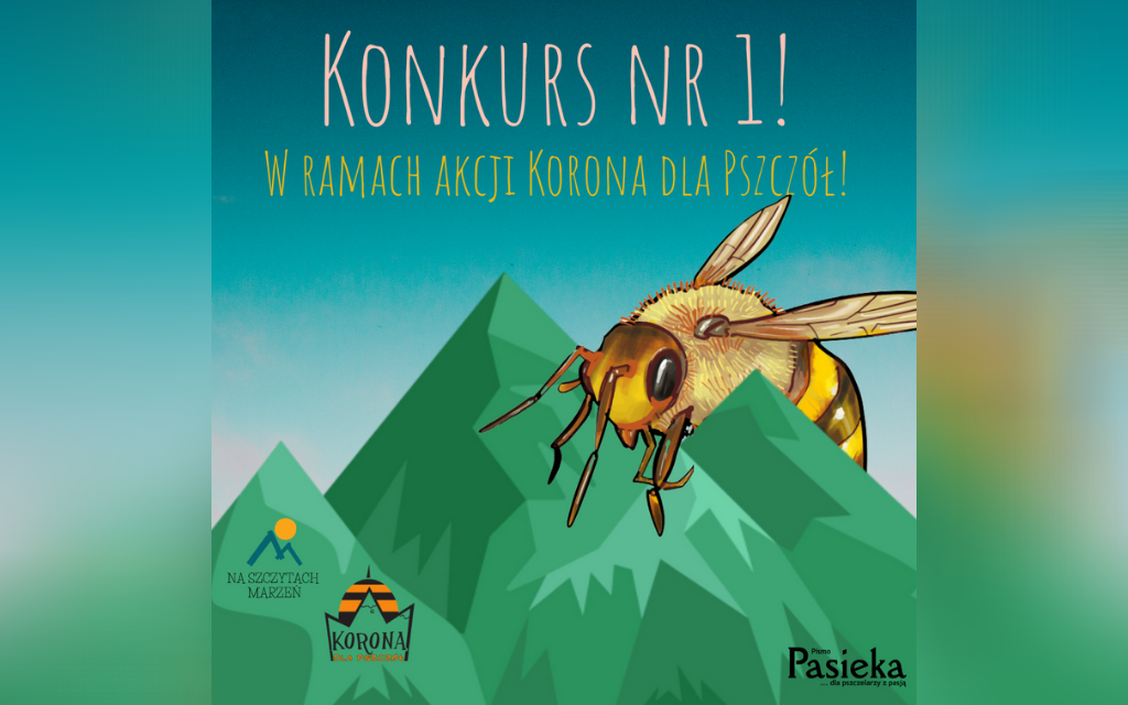 Konkurs w ramach akcji Korona dla Pszczół! 