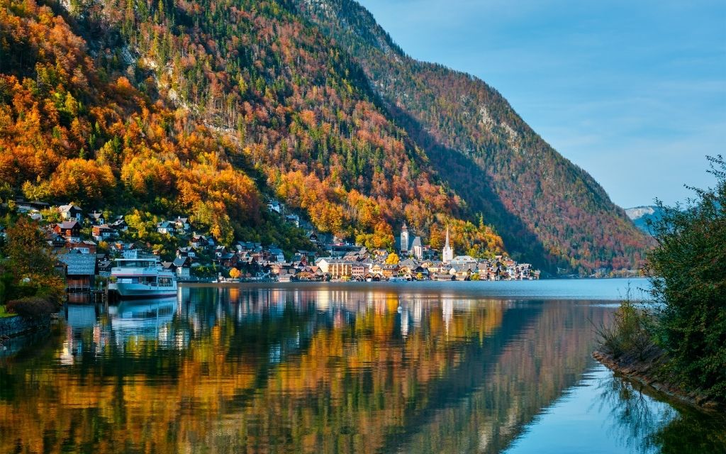 Program lepszej ochrony pszczół w Austrii