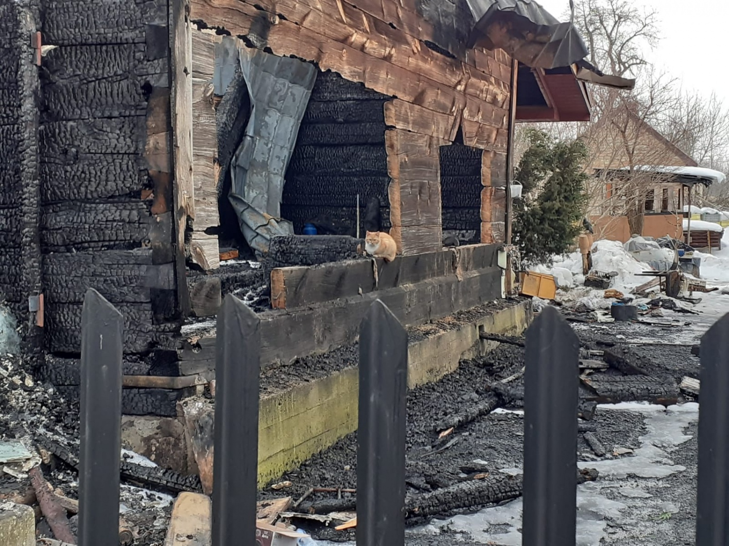 kor pozar pszczelarz