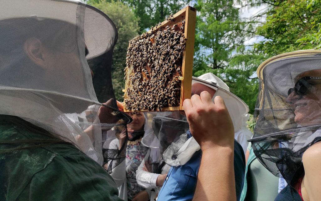 Akademia Pszczelarza 2023