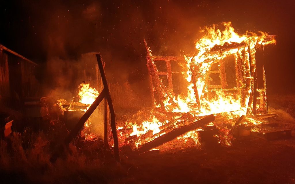 Rudno plomienie pszczoly