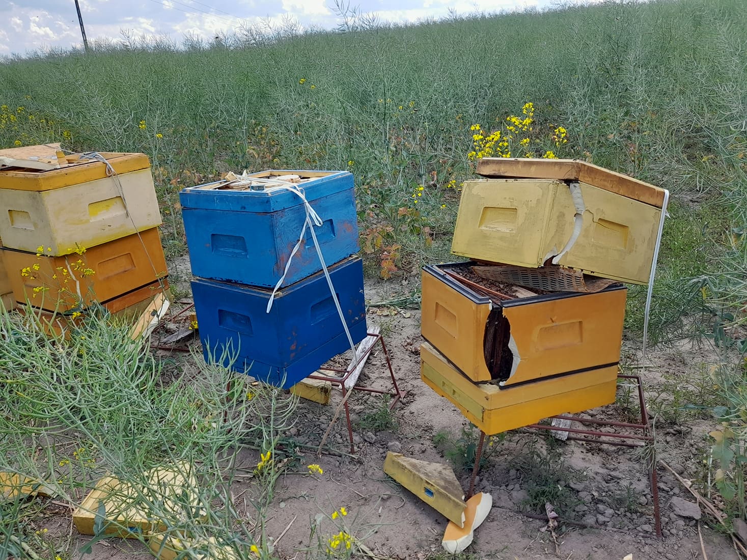 kolejny ul zdewastowany