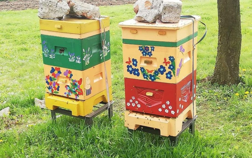 skradziono kolorowe ule