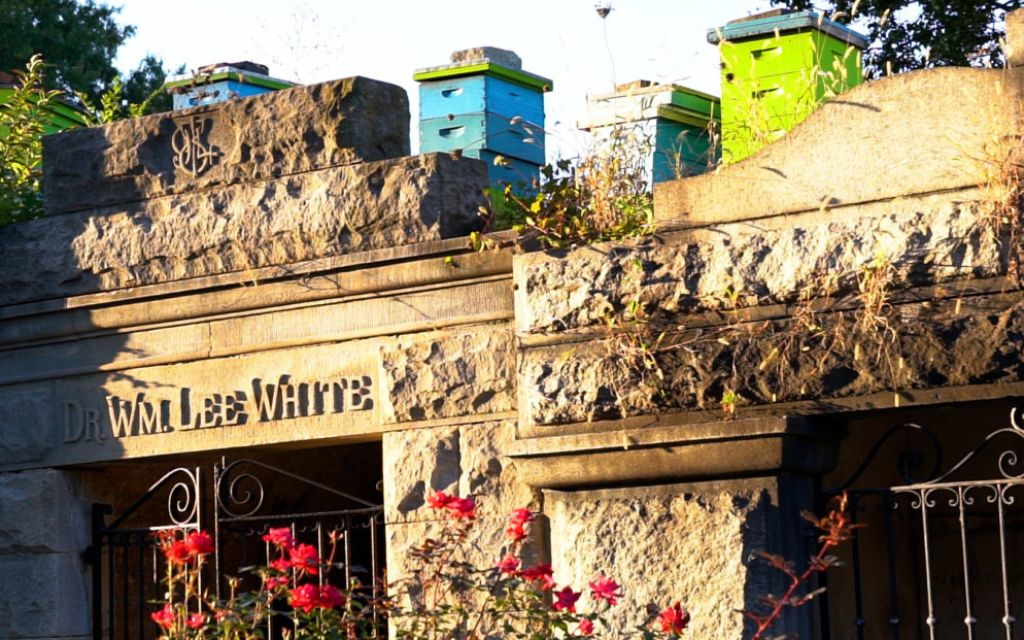 tak stoją ule na cmentarzu