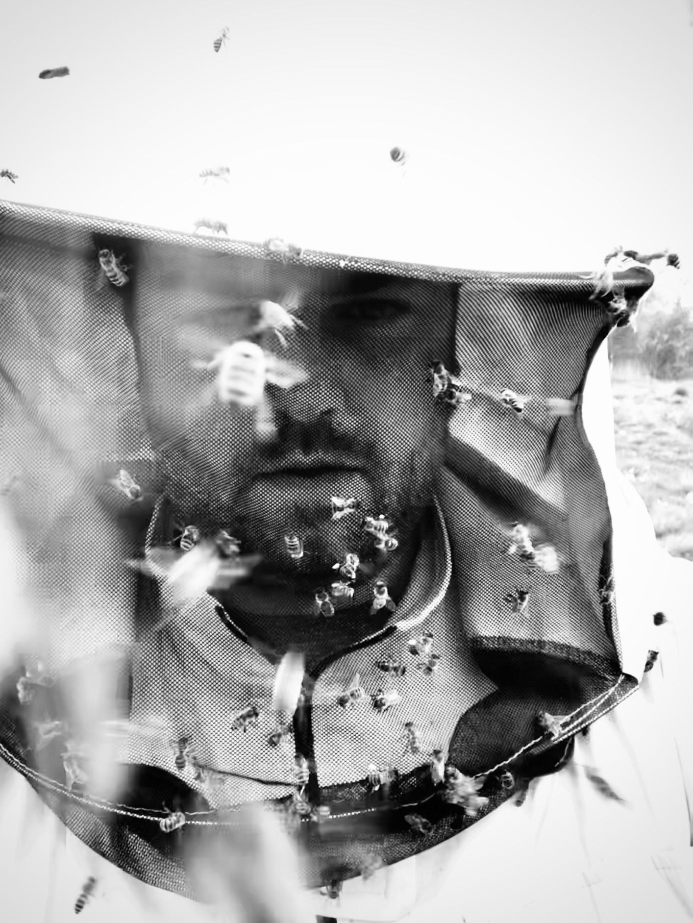 Andrzej Siwiński Beekeeper