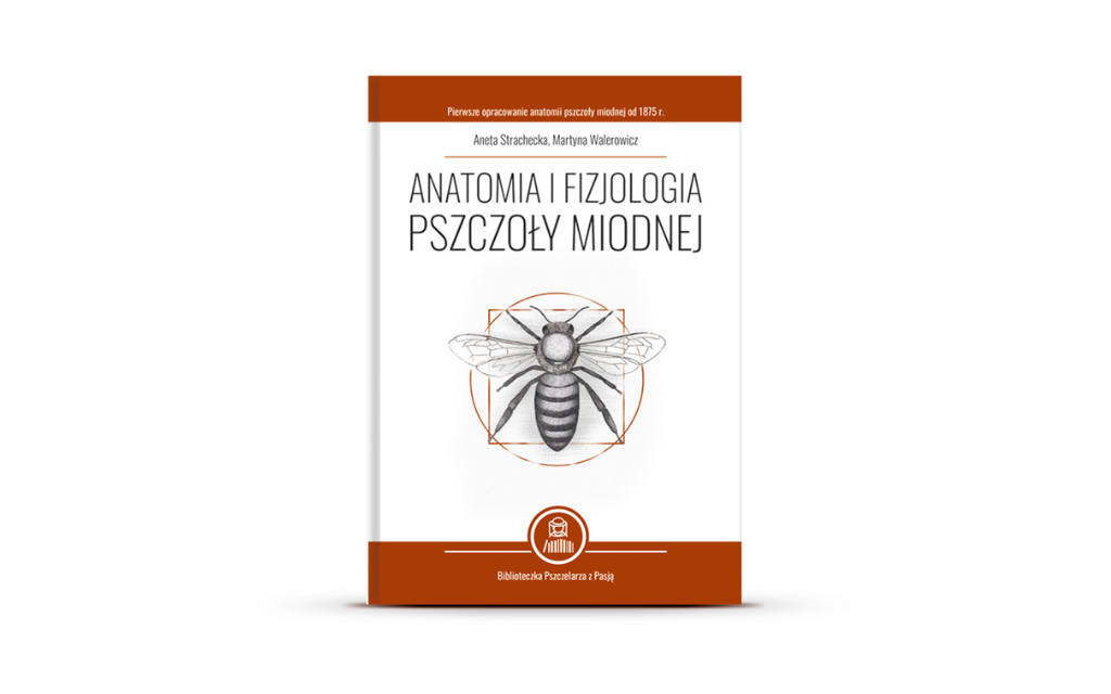 Zdjęcie mojej książki