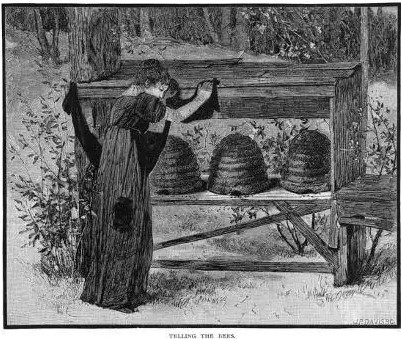 pszczelarskie całuny