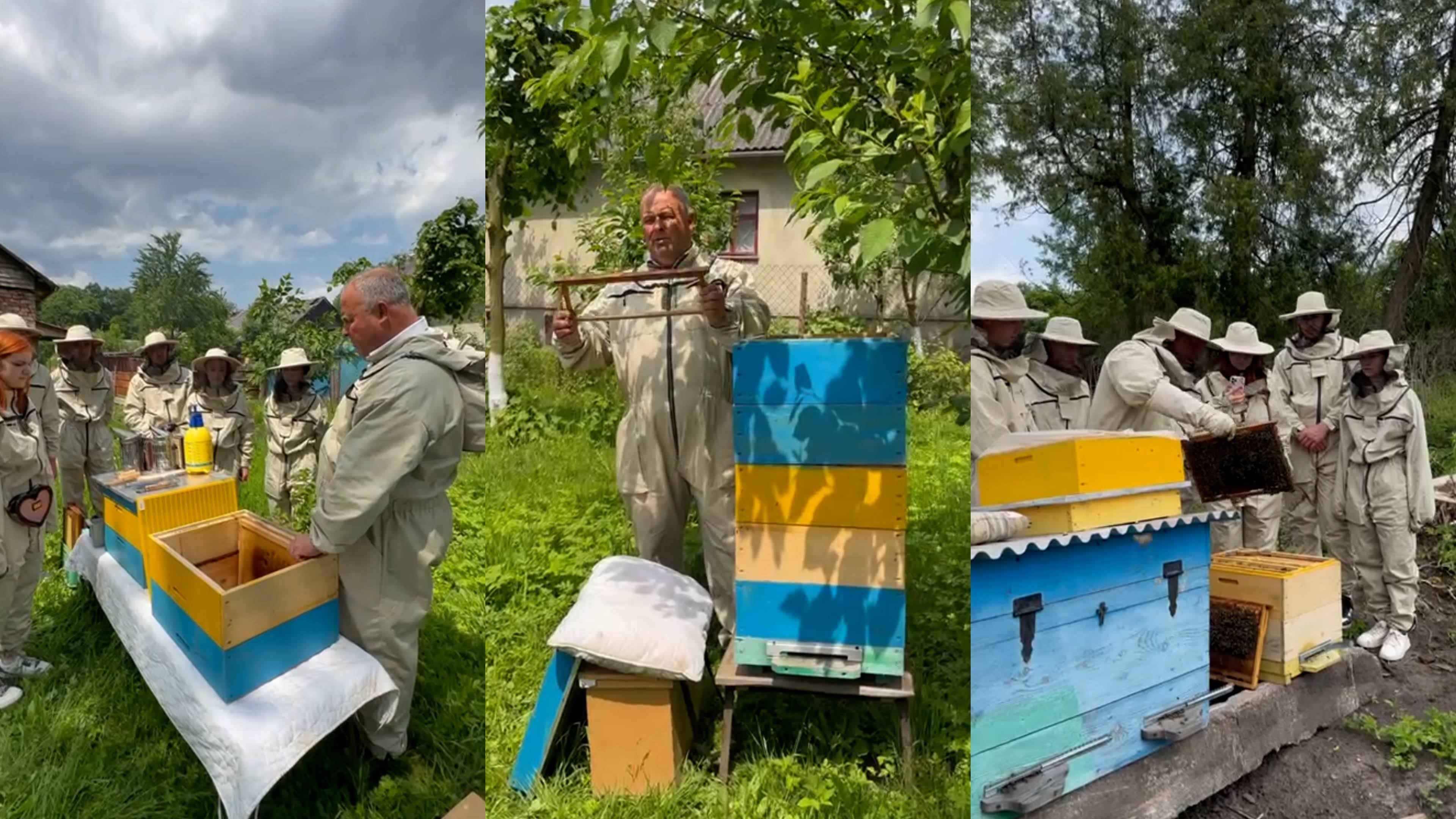 pszczoła karpacka 151