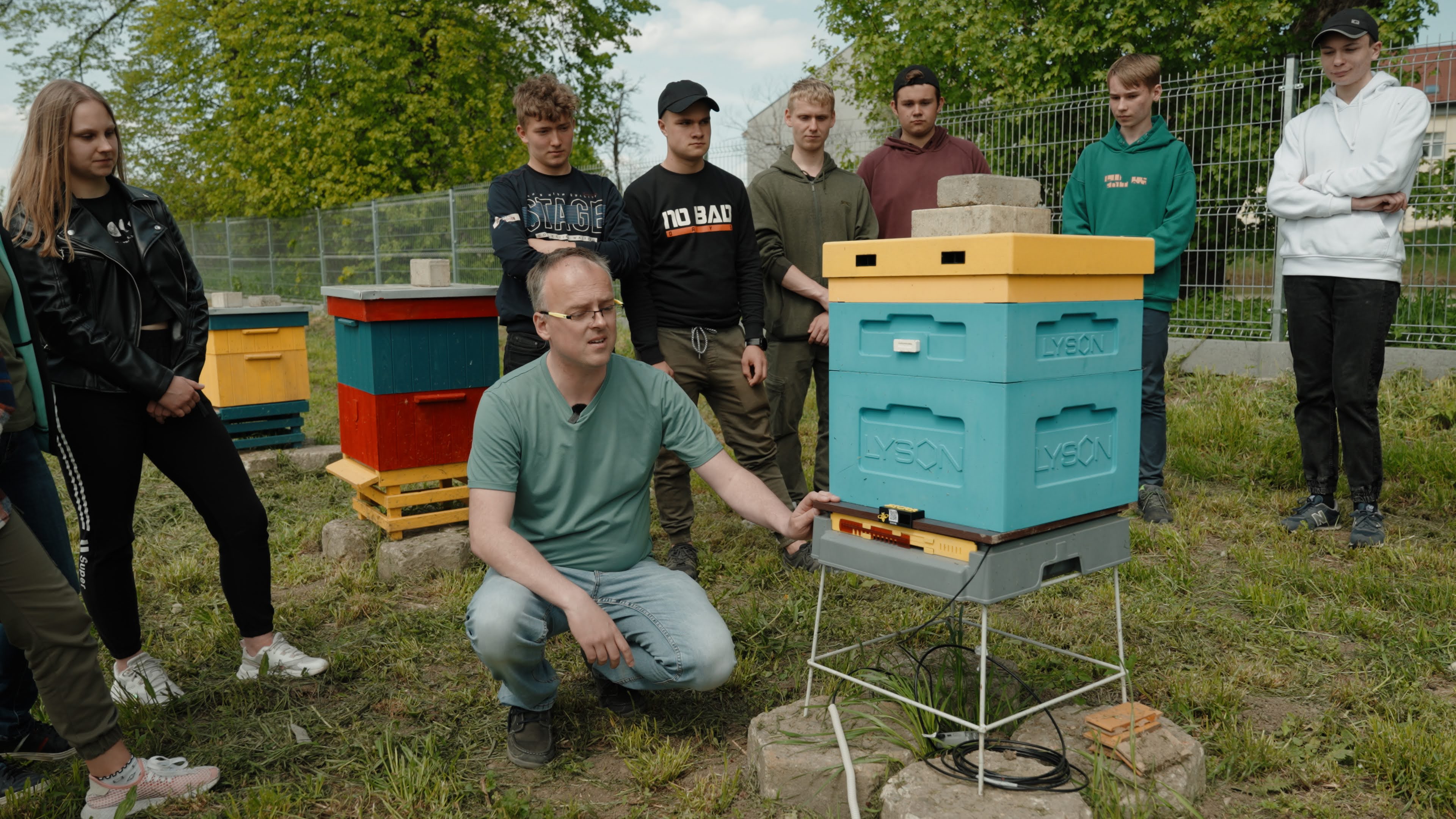 pszczoła karpacka 44