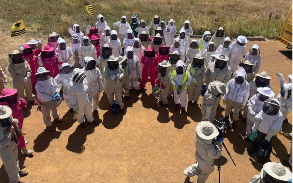 zdjecie 70 pszczelarek