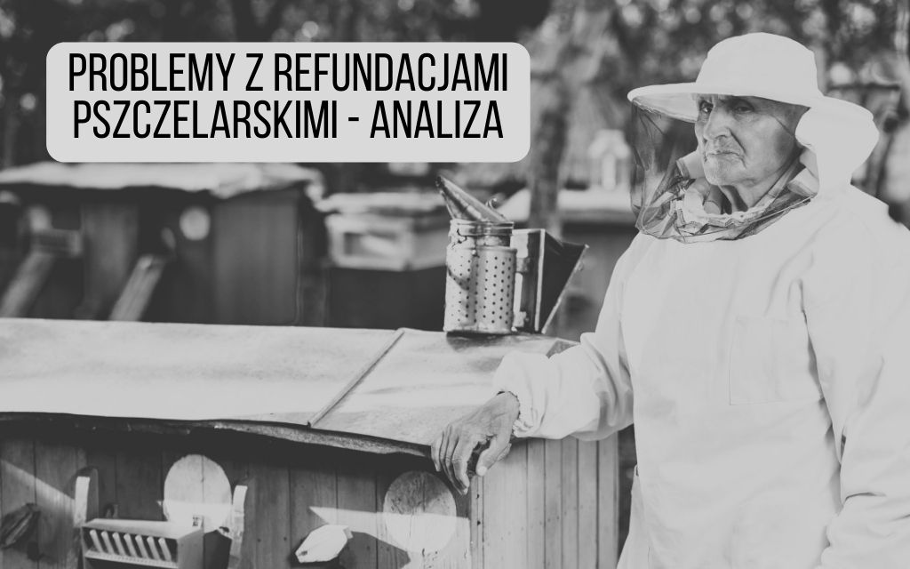 analiza problemów z refundacjami