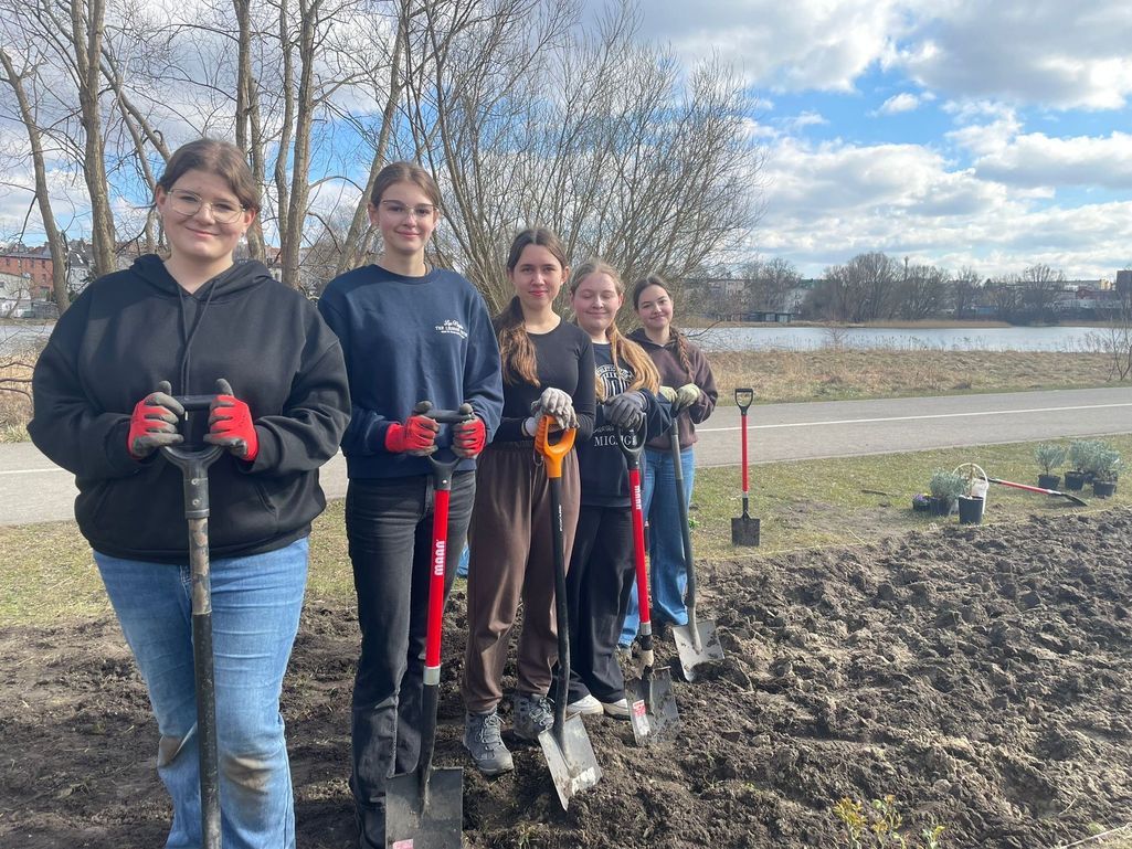 łąki pełne życia