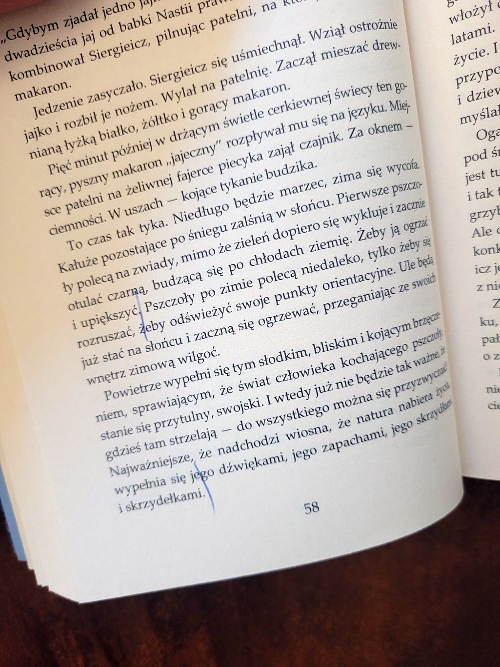 książka szare pszczoły