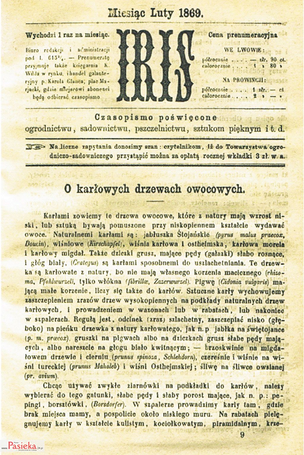 Pasieka nr 76 (czasopisma_Nr-3)