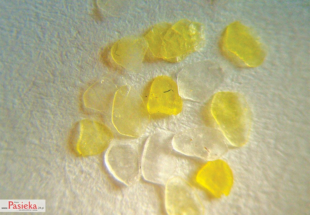 Pasieka nr 76 (luseczki_4.jpg)