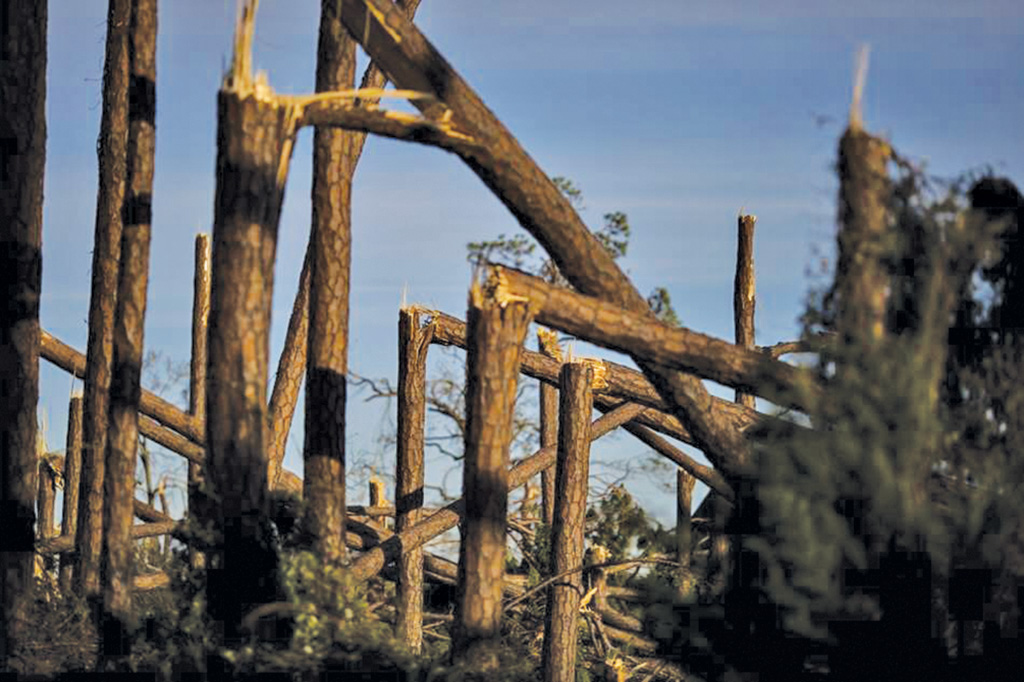 Pasieka nr 93 ([PAS93], styczeń-luty 2019, WzS)