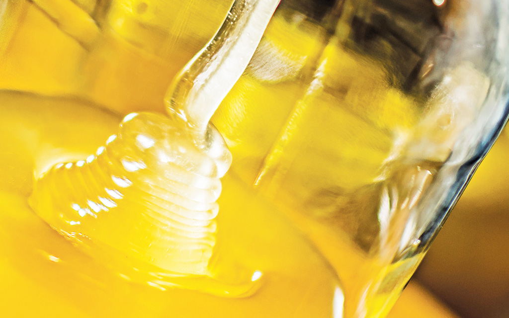 Pasieka nr 93 ([PAS93], styczeń-luty 2019, piramida_glowne)