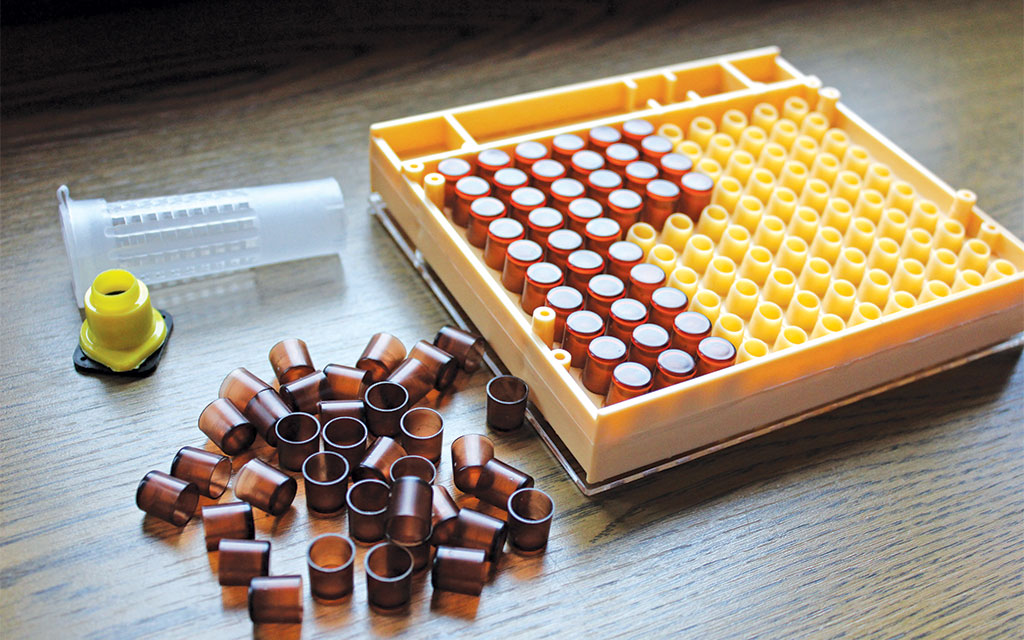 Pasieka nr 94 ([PAS94], marzec-kwiecień 2019, IMG_3485)