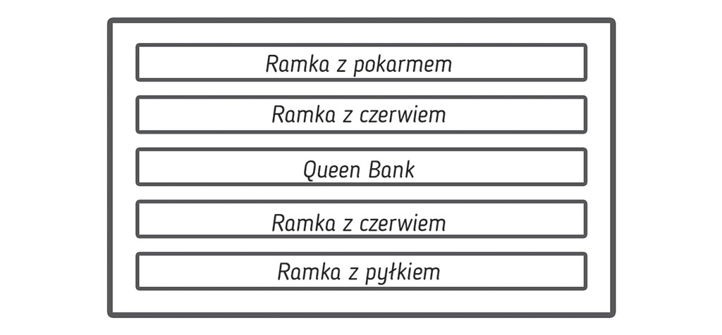 Pasieka nr 94 ([PAS94], marzec-kwiecień 2019, nucleus Queen Bank rzut z góry- ułożenie ramek)