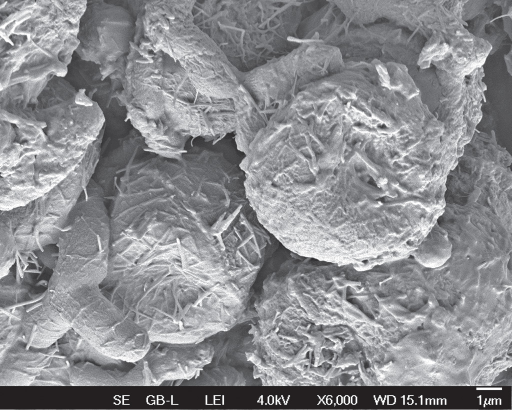 Pasieka nr 95 ([PAS95], maj - czerwiec 2019, fot_5_Rouskovani zelene rasy zrnenky_6)