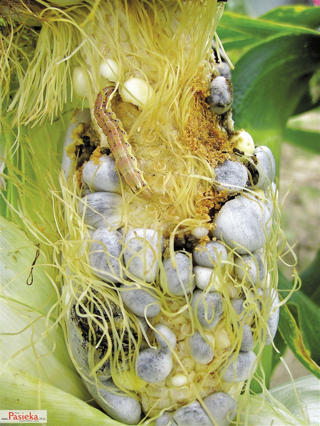 8424941180_b1fdce7acb_o