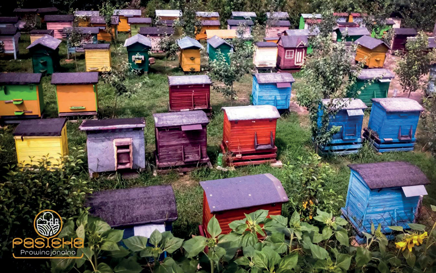 Pasieka nr 5/2023