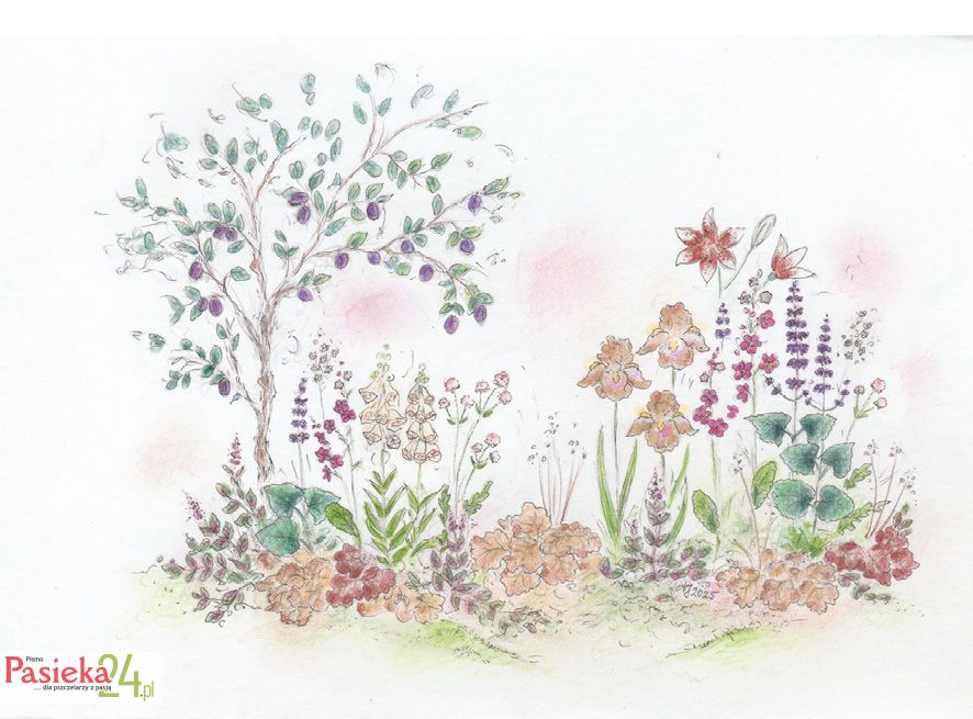 Ilustr. 2. Kompozycja inspirowana miodowcem.