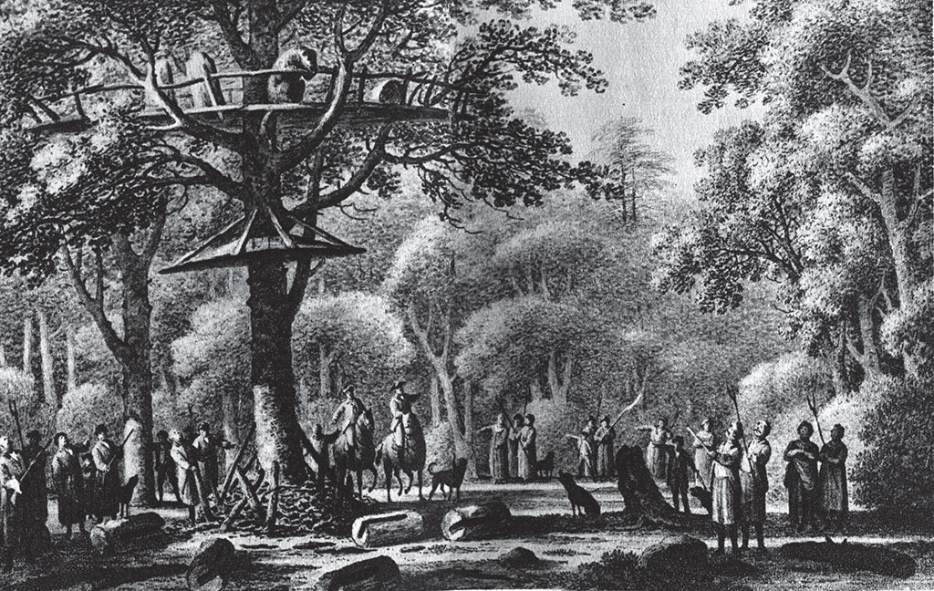 Pasieka nr 88 (3_Muntz)