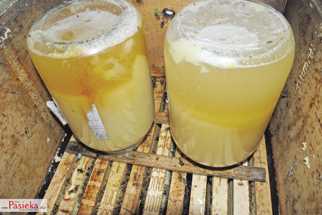 jesienne-prace-w-pasiece-(68)